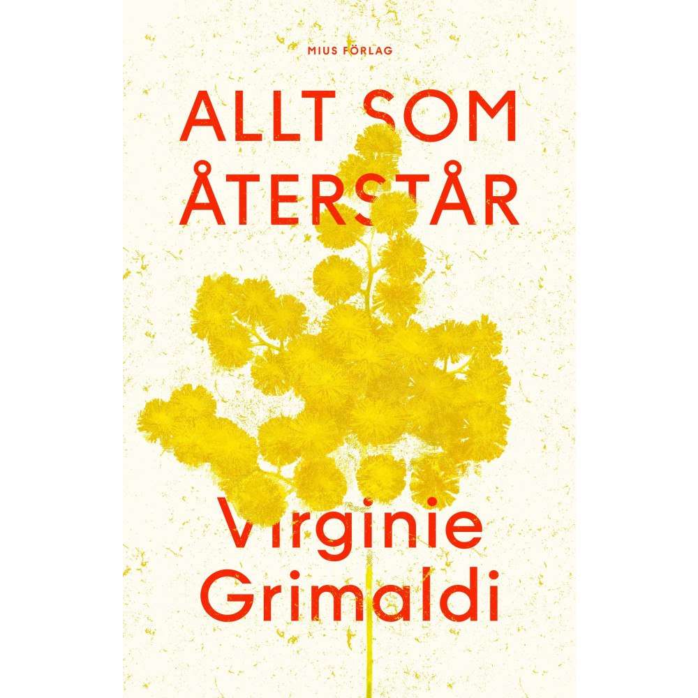 Virginie Grimaldi Allt som återstår (bok, kartonnage)