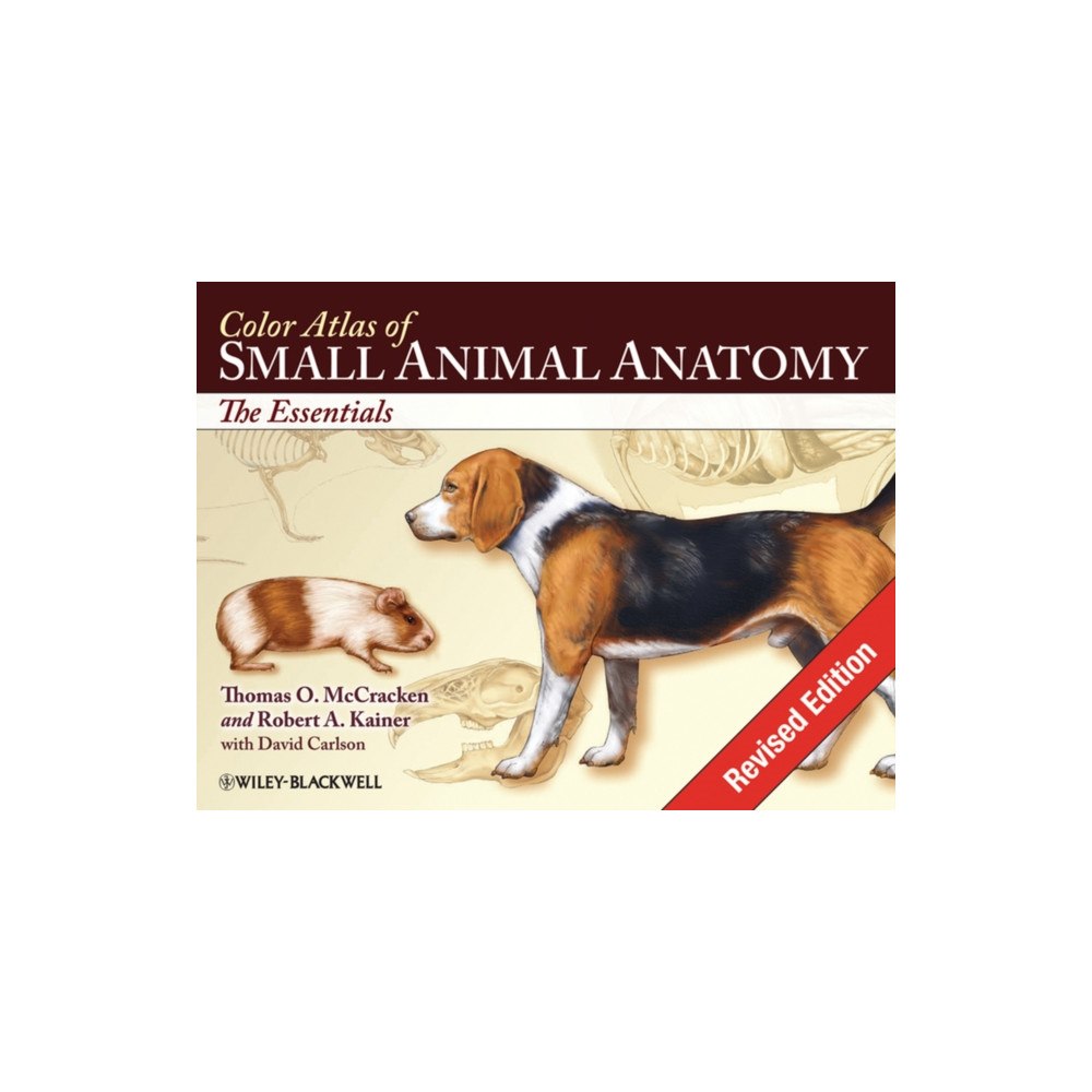 John Wiley And Sons Ltd Color Atlas of Small Animal Anatomy (häftad, eng)