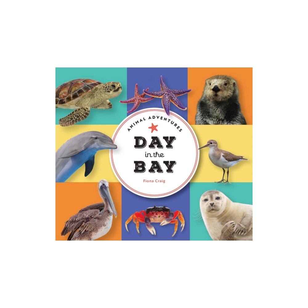The Collective Book Studio Animal Adventures: Day in the Bay (bok, board book, eng)