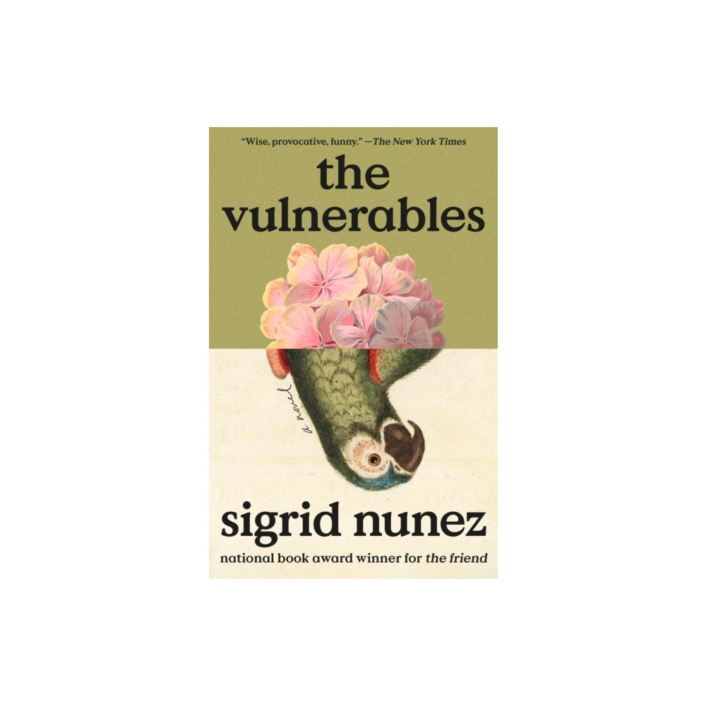 Not Stated The Vulnerables (häftad, eng)