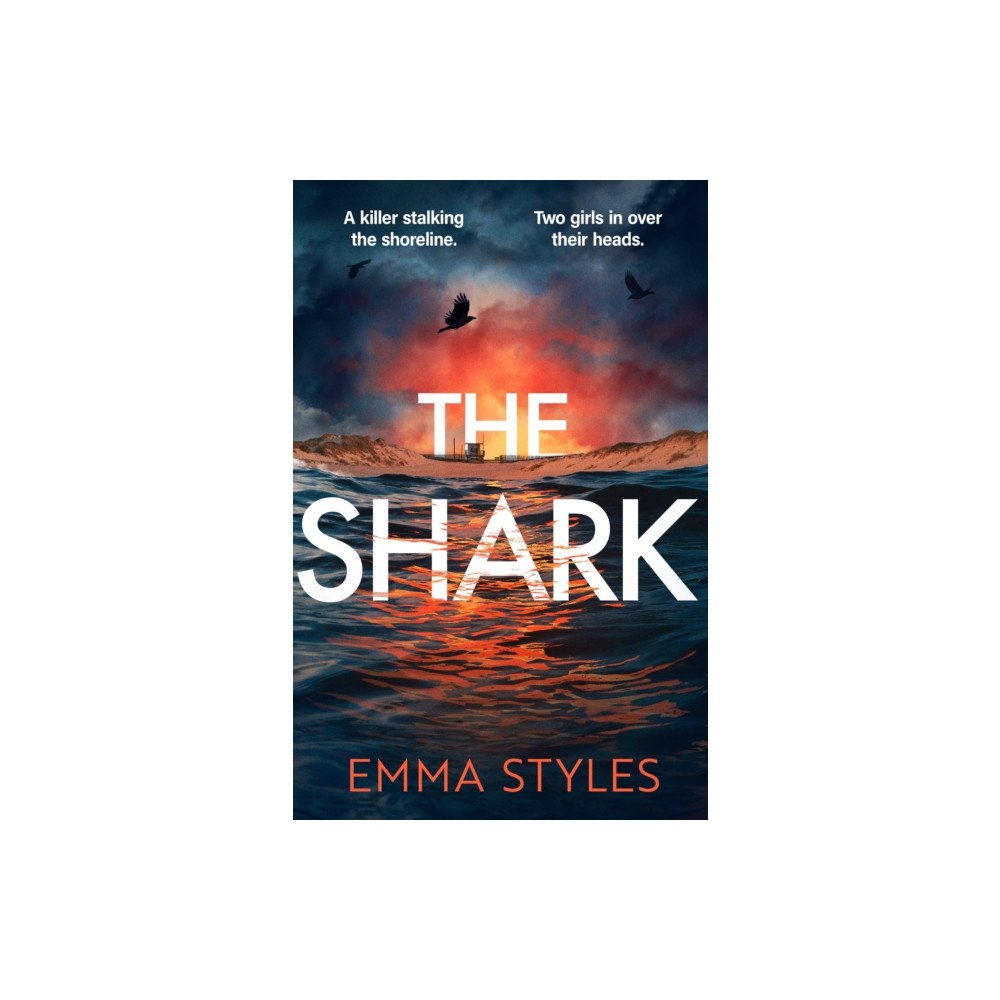 Little, Brown The Shark (häftad, eng)