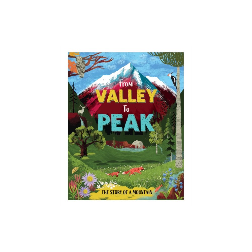 Hachette Children's Group From Valley to Peak: The Story of Mountains (inbunden, eng)