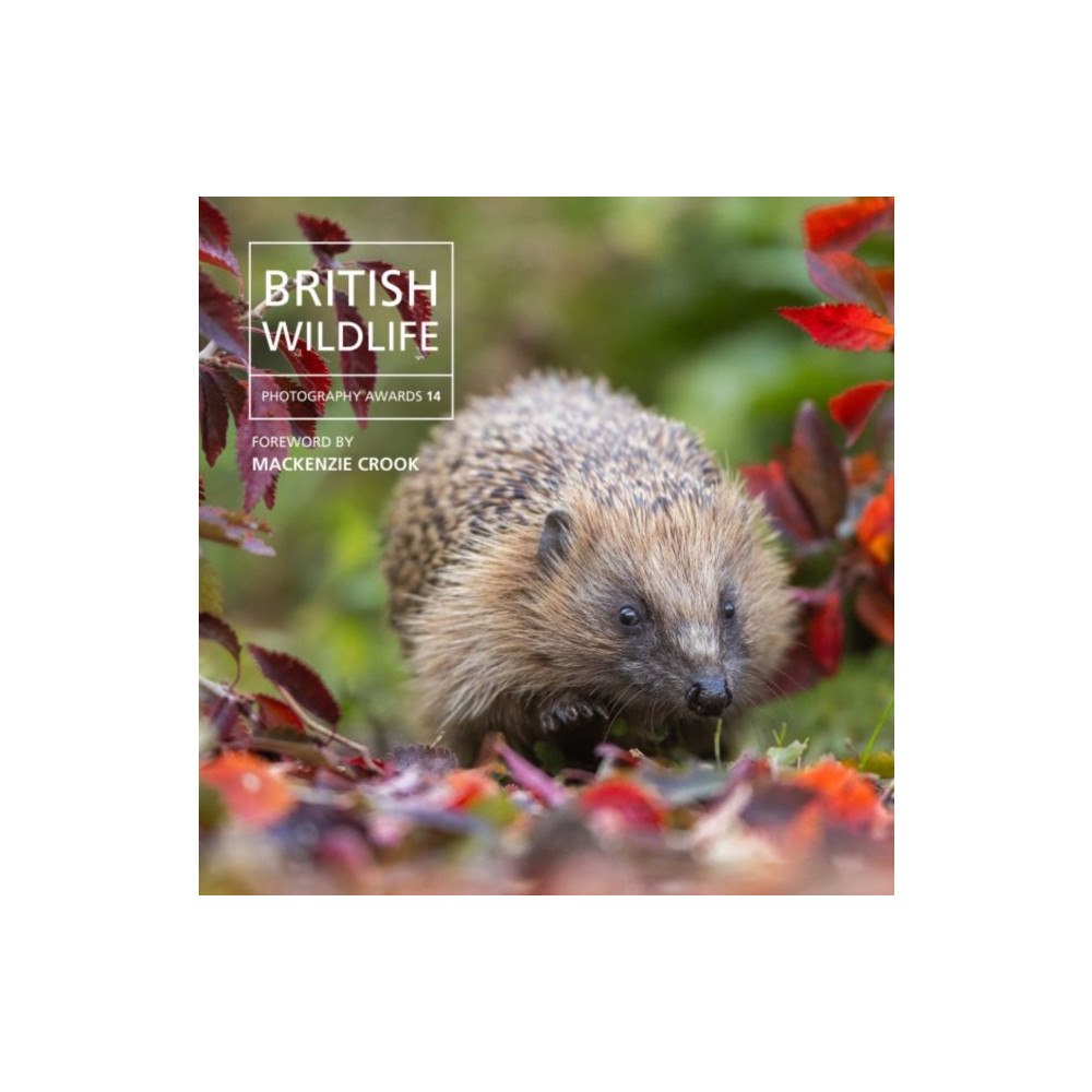 Graffeg Limited British Wildlife Photography Awards 14 (inbunden, eng)