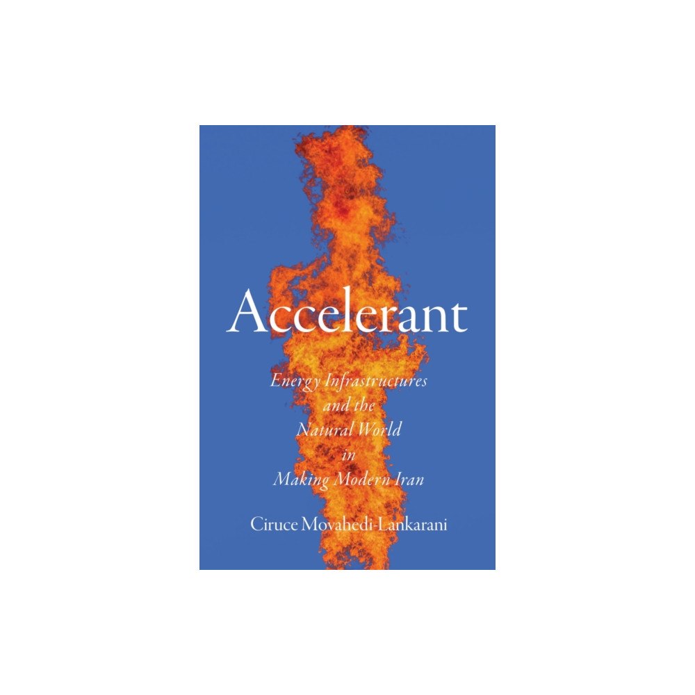 Stanford university press Accelerant (häftad, eng)