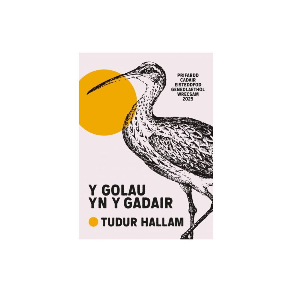 Cyhoeddiadau Barddas Y Golau yn y Gadair (häftad, wel)