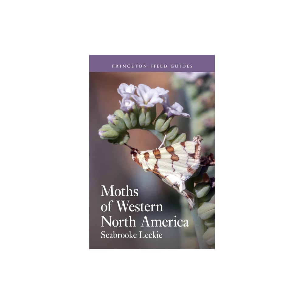 Princeton University Press Moths of Western North America (häftad, eng)