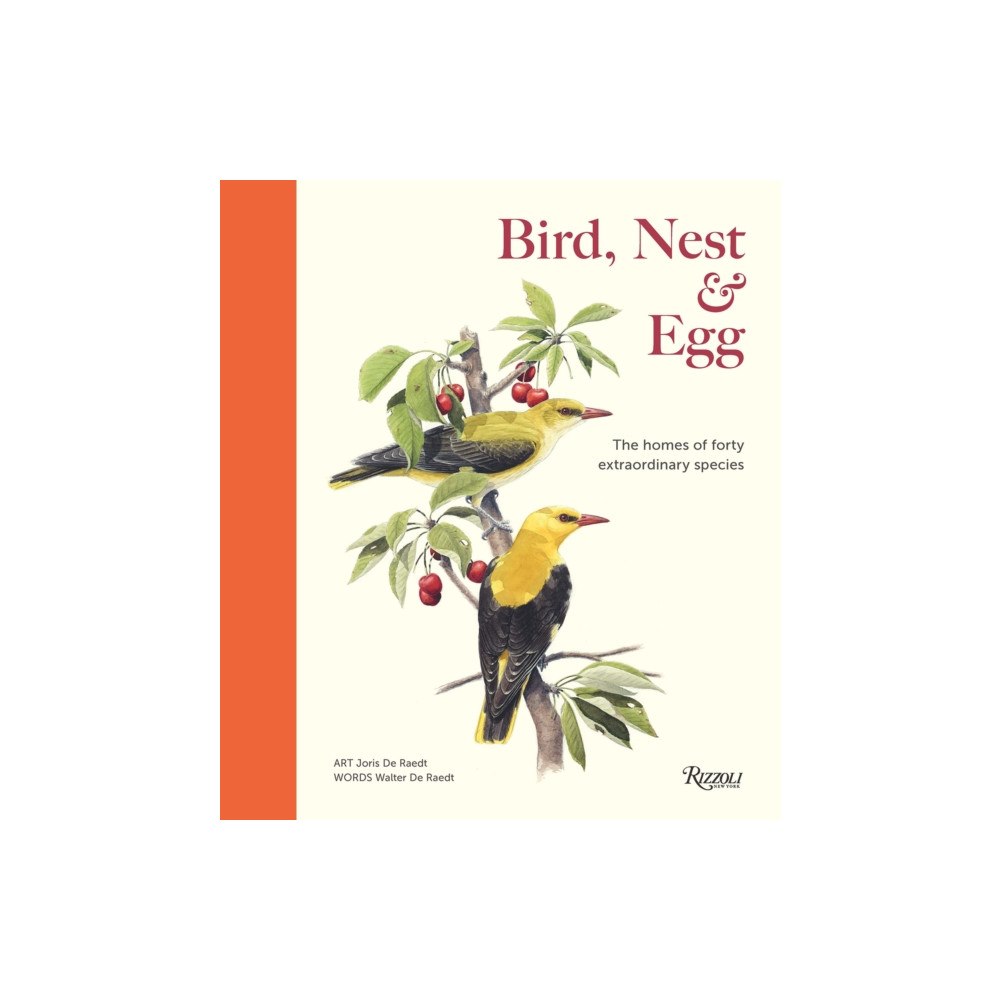 Rizzoli International Publications Bird, Nest & Egg (inbunden, eng)