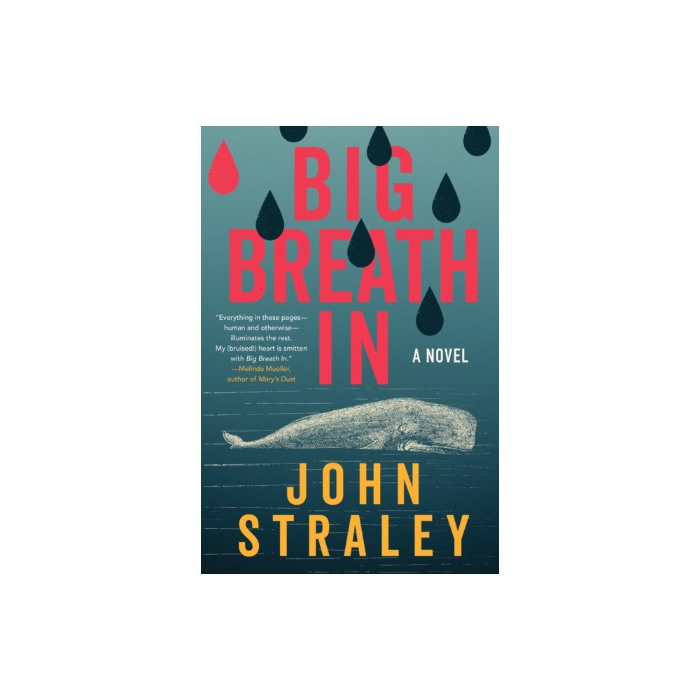 Soho Press Big Breath In (häftad, eng)