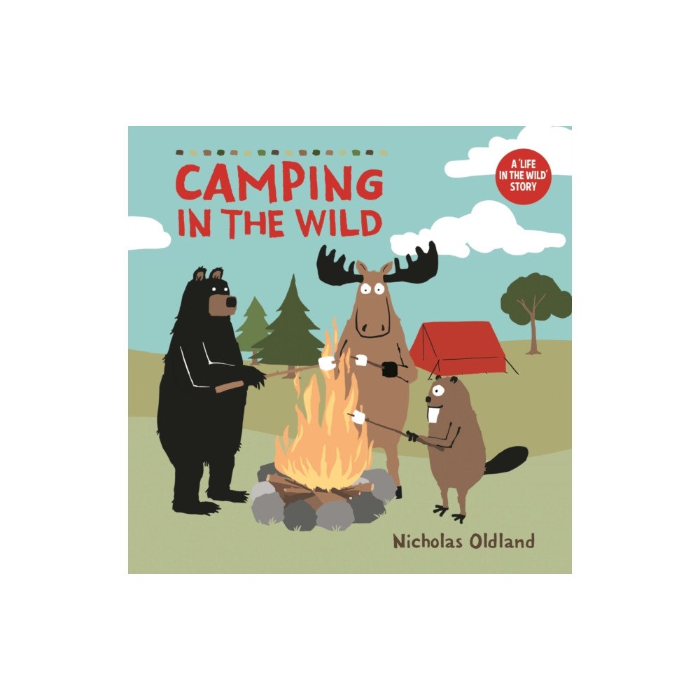 Pikku Publishing Camping In The Wild (häftad, eng)