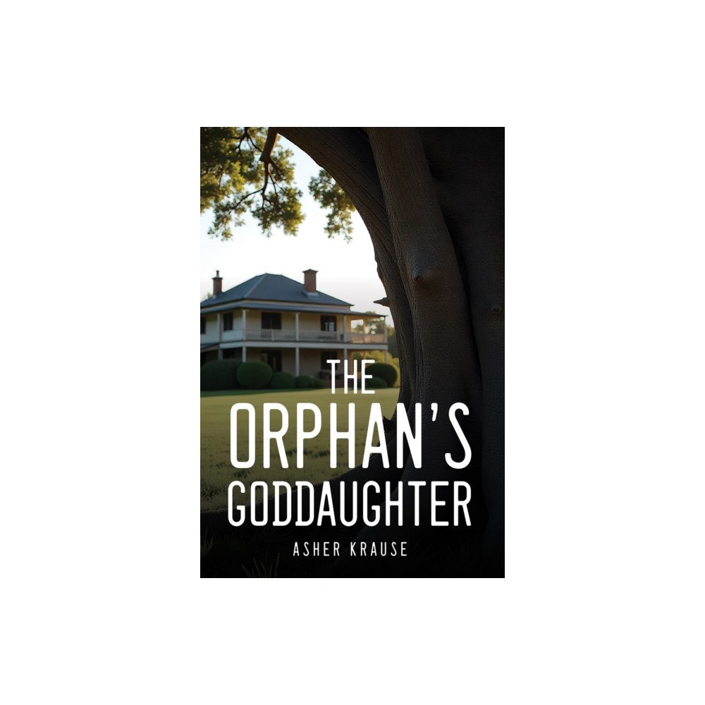 Austin Macauley Publishers The Orphan's Goddaughter (häftad, eng)