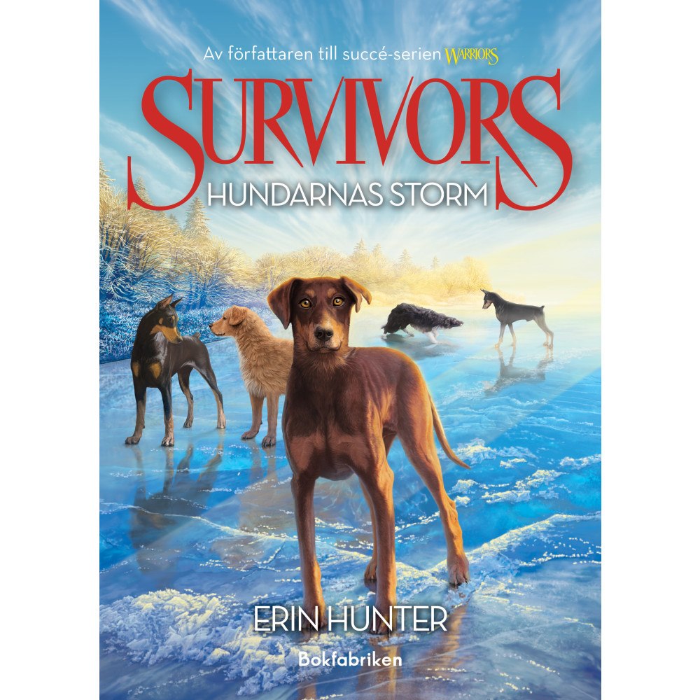 Erin Hunter Hundarnas storm (bok, kartonnage)