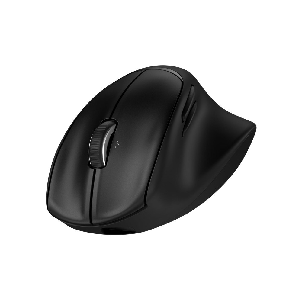 HP HP 725M - mus - 21° semi-vertical tilt - Bluetooth, 2.4 GHz - svart