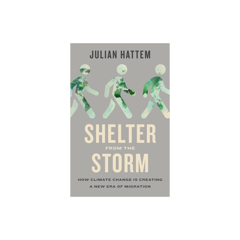 The New Press Shelter from the Storm (inbunden, eng)