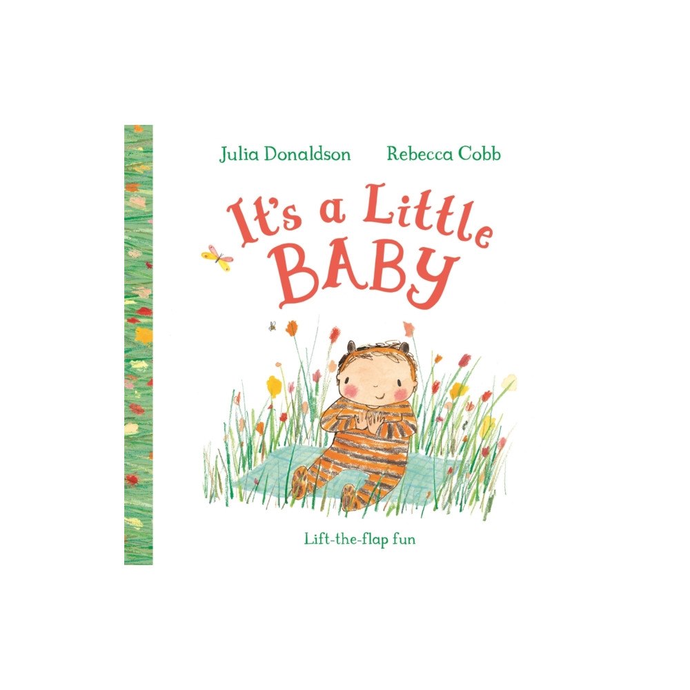 Pan Macmillan It's a Little Baby (bok, board book, eng)