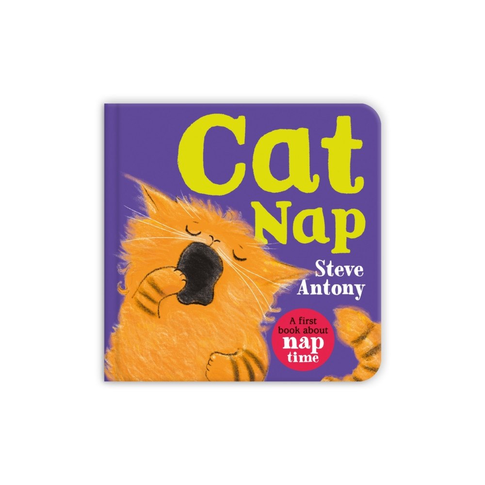 Pan Macmillan Cat Nap (bok, board book, eng)