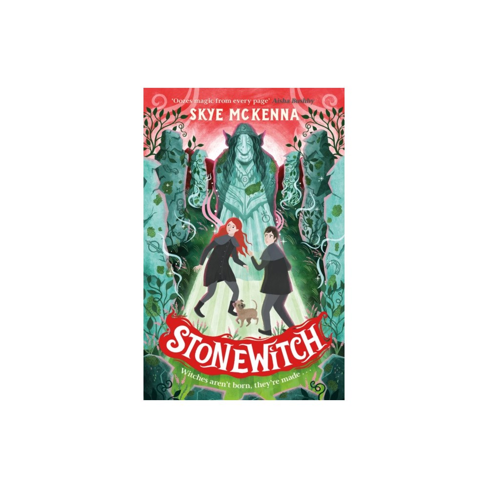 Hachette Children's Group Hedgewitch: Stonewitch (häftad, eng)