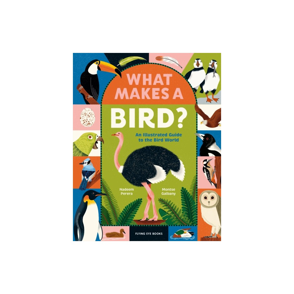 Flying Eye Books What Makes a Bird? (inbunden, eng)