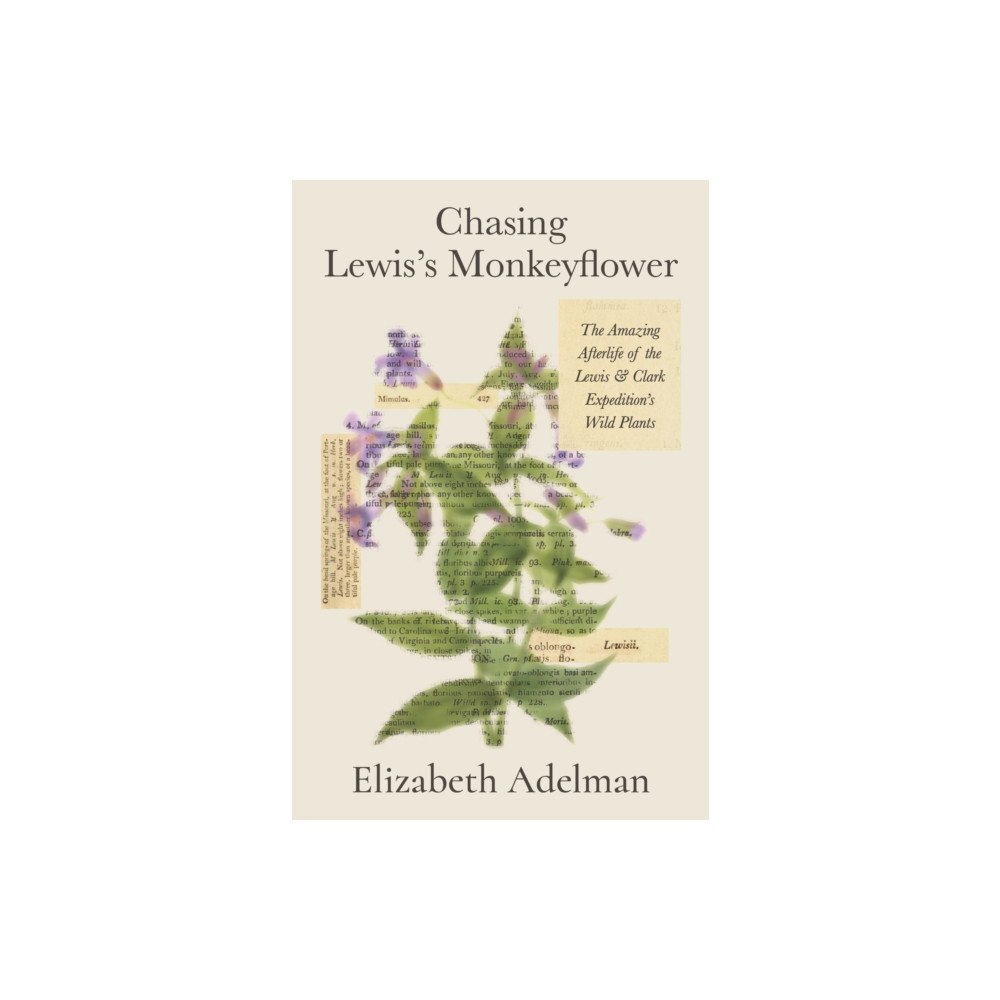Farrar, Straus & Giroux Inc Chasing Lewis's Monkeyflower (inbunden, eng)