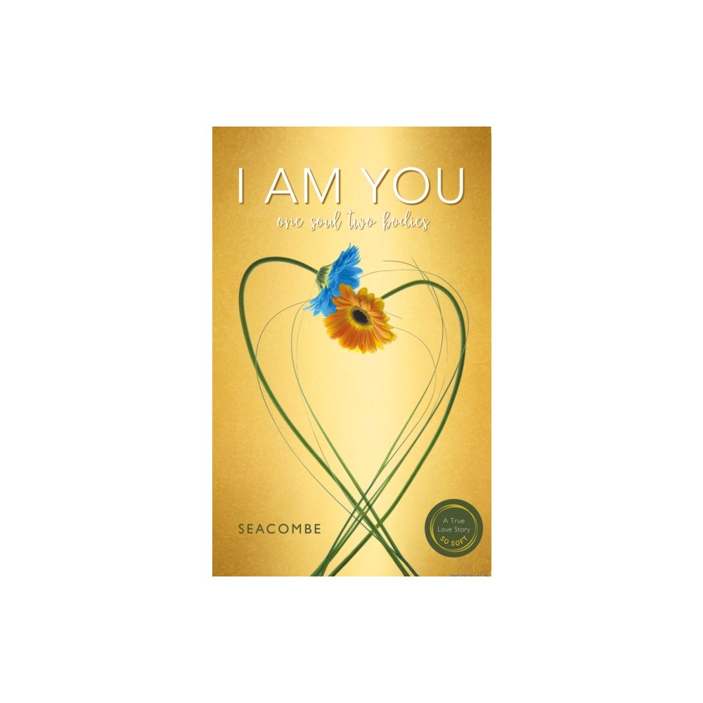 Troubador Publishing I AM YOU (häftad, eng)