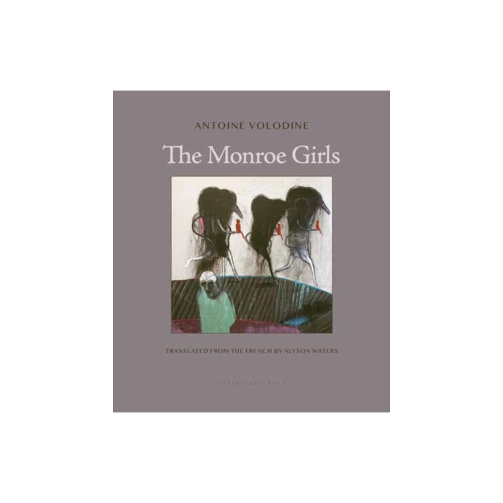 Archipelago Books The Monroe Girls (häftad, eng)