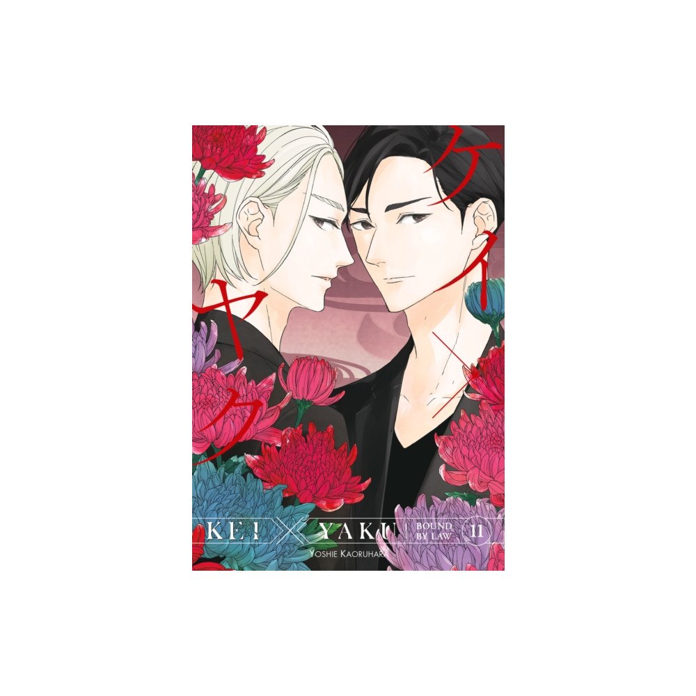 Kodansha America, Inc Kei X Yaku: Bound By Law 11 (häftad, eng)