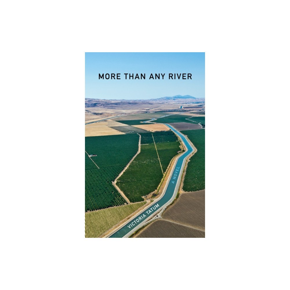 She Writes Press More Than Any River (häftad, eng)