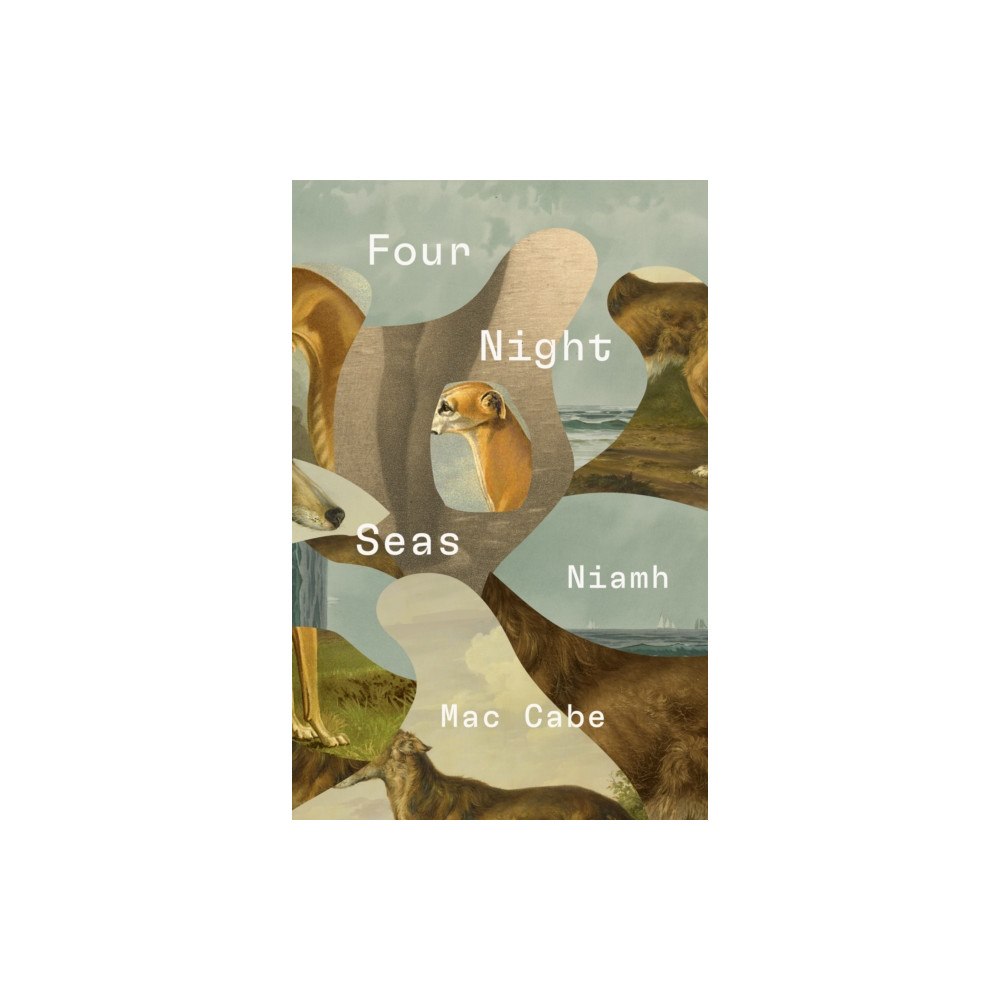 The Lilliput Press Ltd Four Night Seas (häftad, eng)