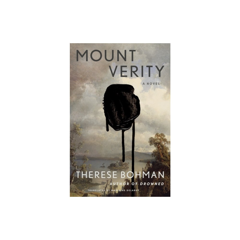 Other Press LLC Mount Verity (häftad, eng)