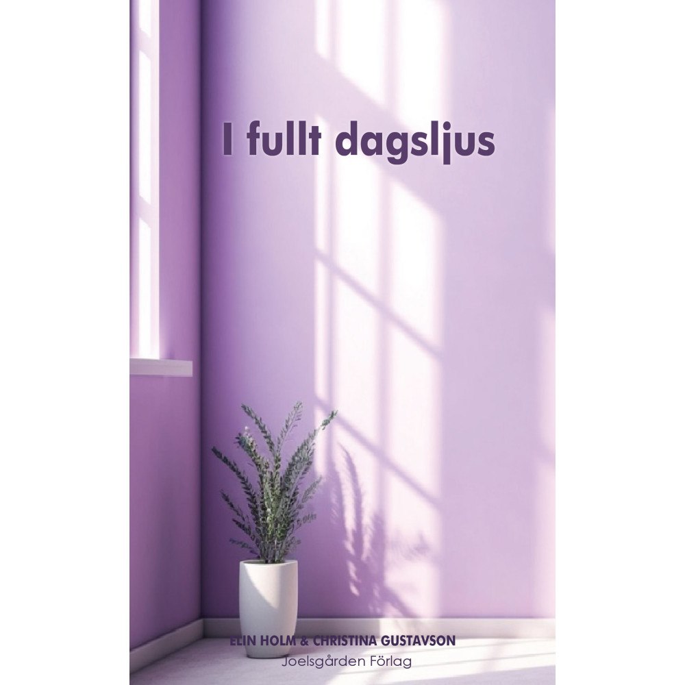 Elin Holm I fullt dagsljus (häftad)