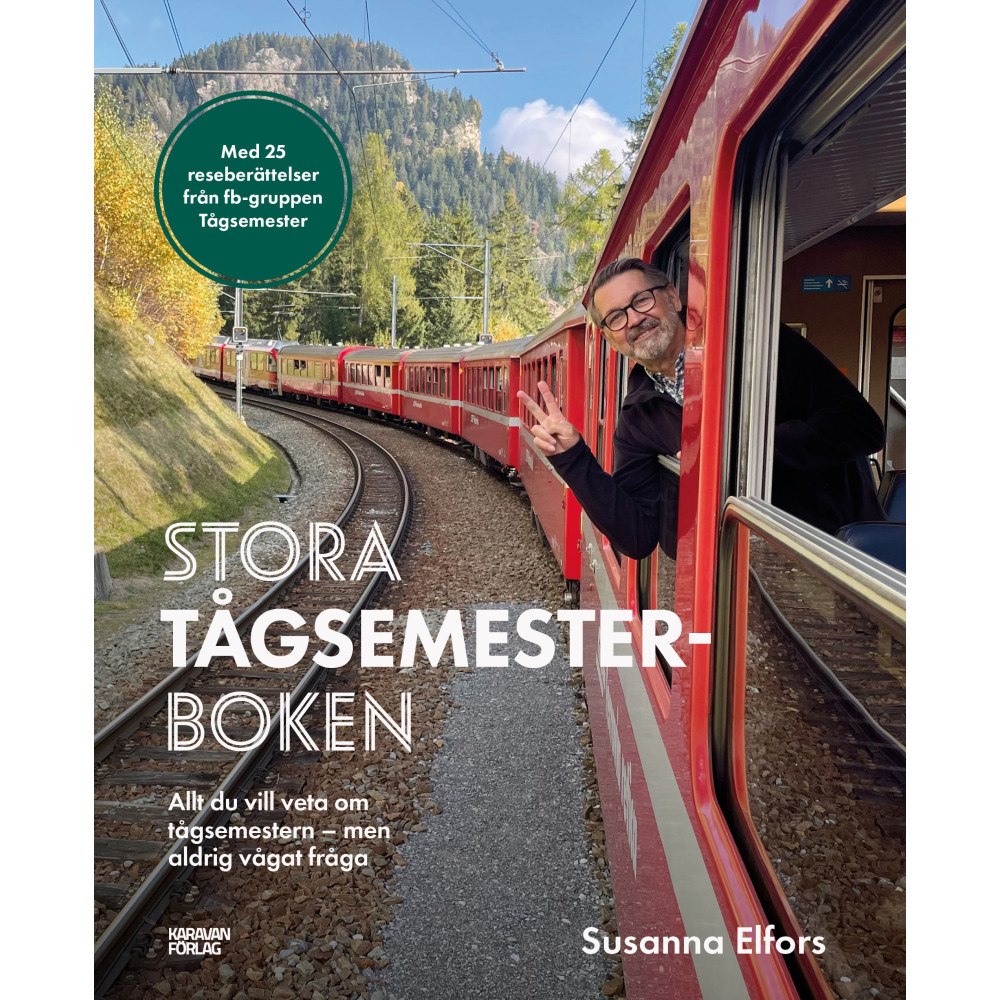 Susanna Elfors Stora tågsemesterboken (bok, kartonnage)