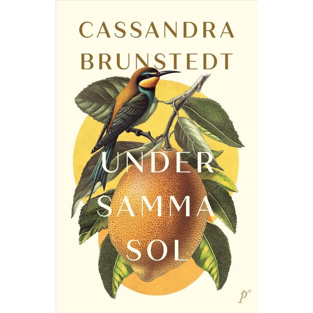Cassandra Brunstedt Under samma sol (inbunden)