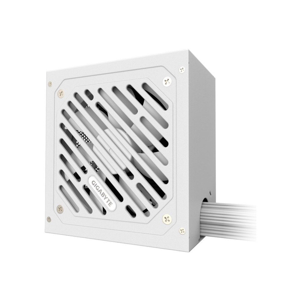 Gigabyte Technology Gigabyte P650SS ICE - nätaggregat - 650 Watt