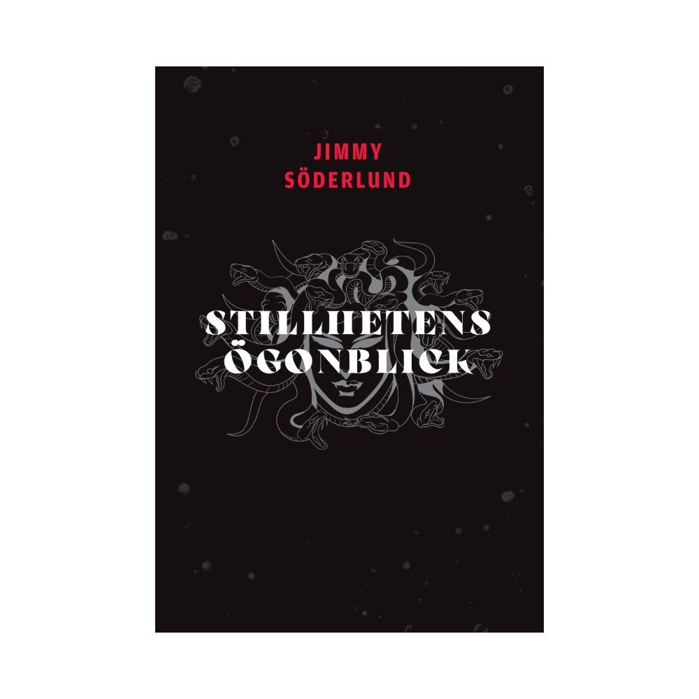 Jimmy Söderlund Stillhetens ögonblick (bok, danskt band)