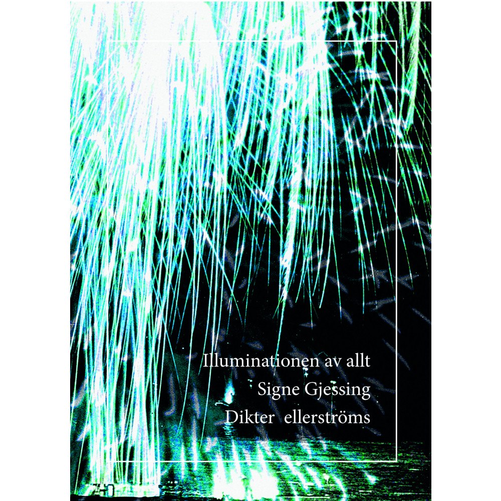 Signe Gjessing Illuminationen av allt (bok, danskt band)