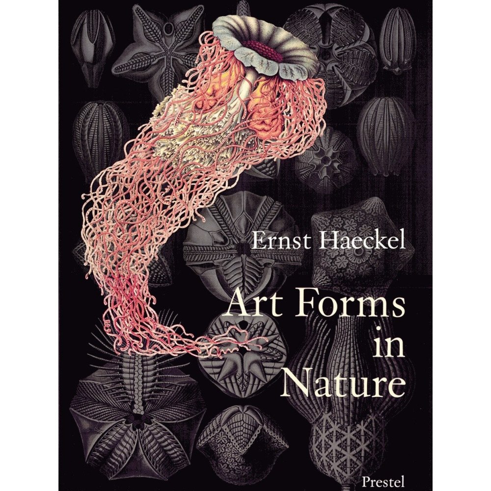 Richard Hartmann Art forms in nature - prints of ernst haekel (häftad, eng)