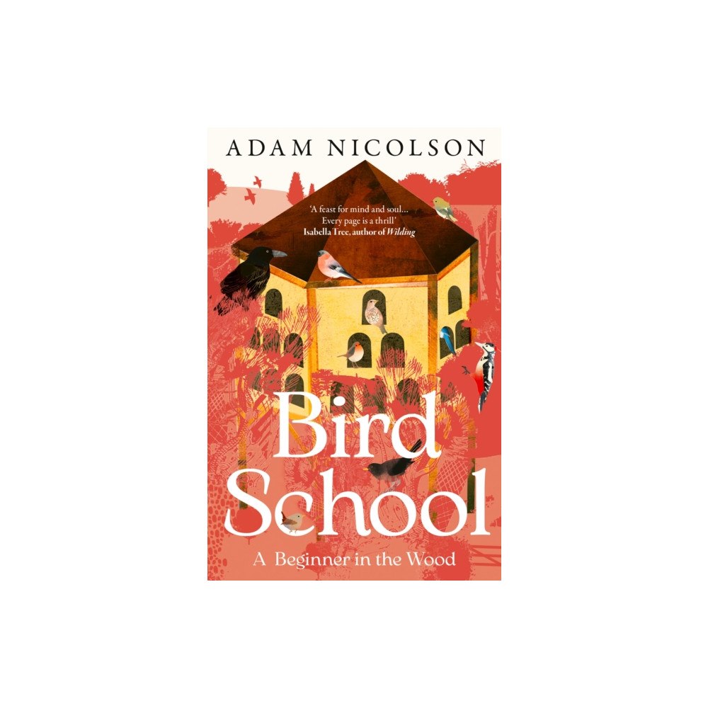 HarperCollins Publishers Bird School (häftad, eng)