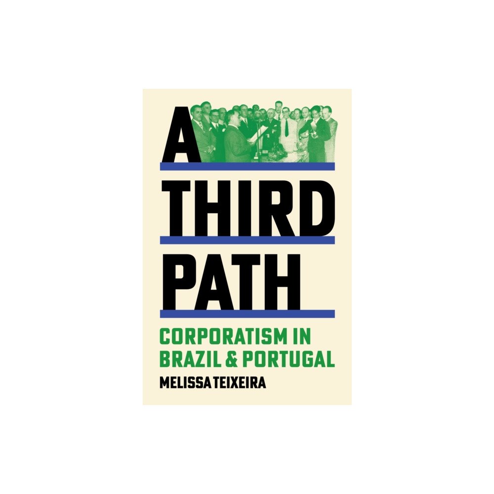 Princeton University Press A Third Path (häftad, eng)