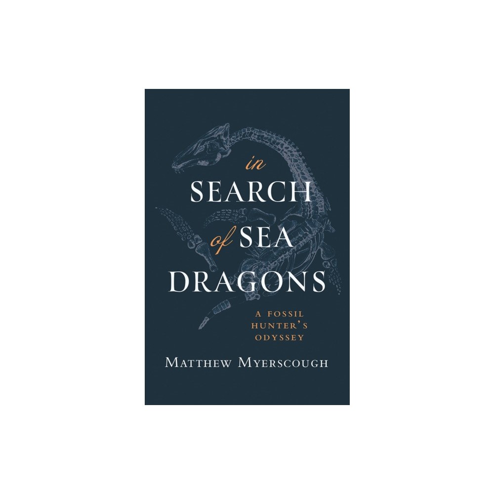 Poetry Wales Press In Search of Sea Dragons (häftad, eng)