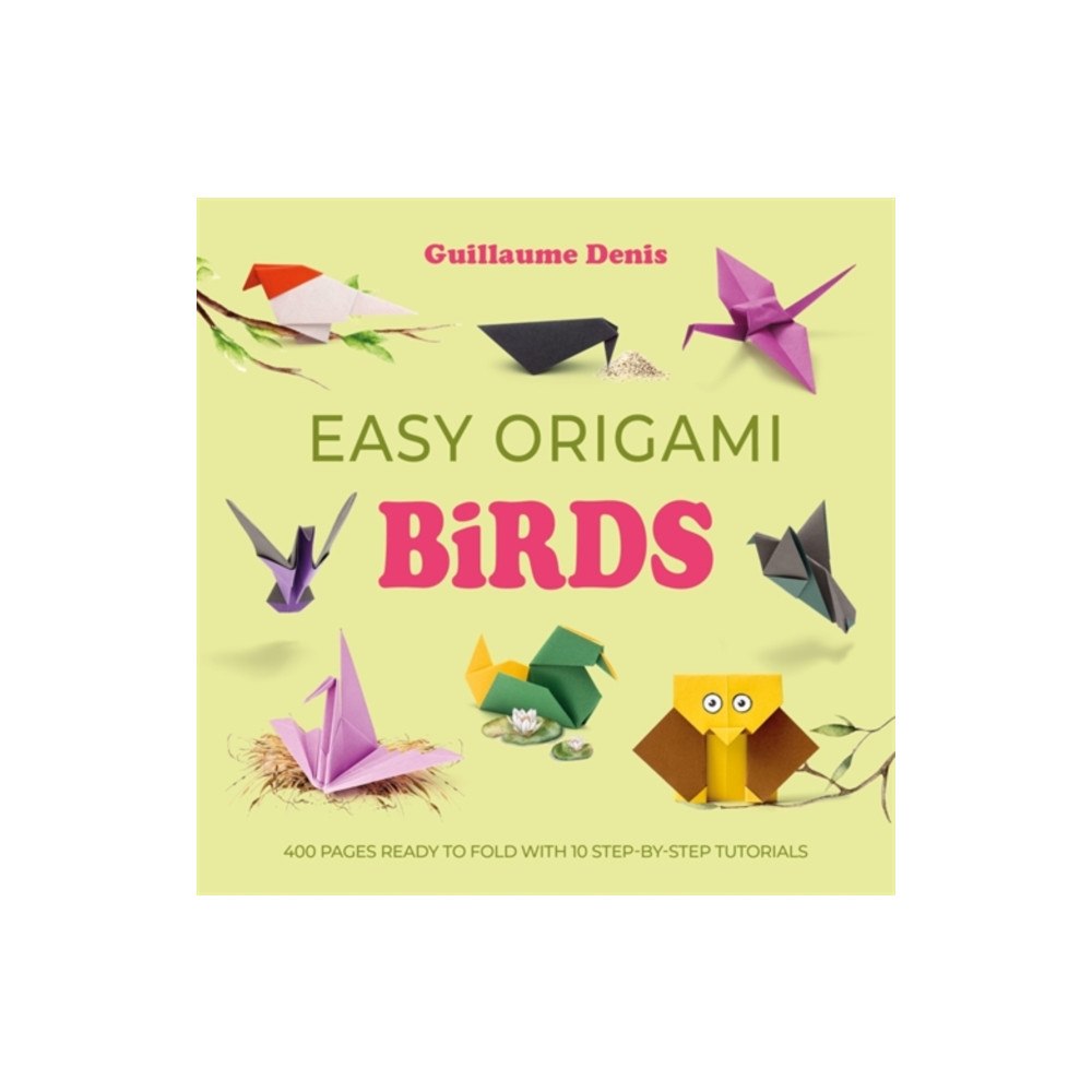 David & Charles Easy Origami Birds (häftad, eng)