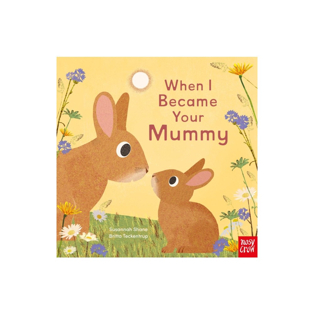 Nosy Crow Ltd When I Became Your Mummy (bok, board book, eng)