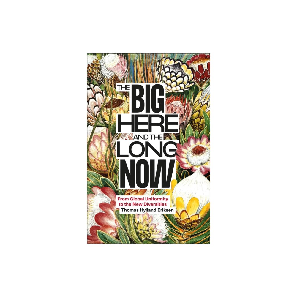 Pluto Press The Big Here and the Long Now (häftad, eng)