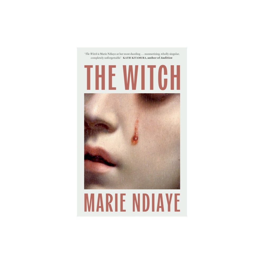 Quercus Publishing The Witch (häftad, eng)