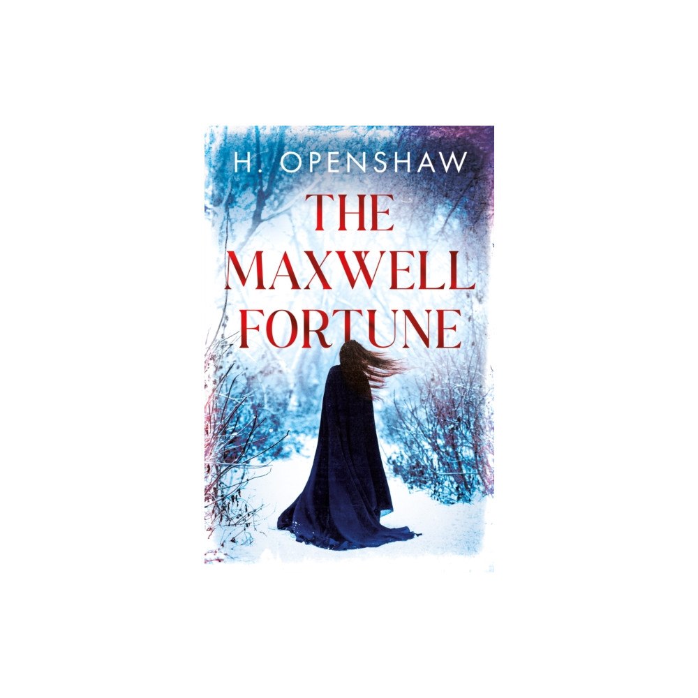 Troubador Publishing The Maxwell Fortune (häftad, eng)