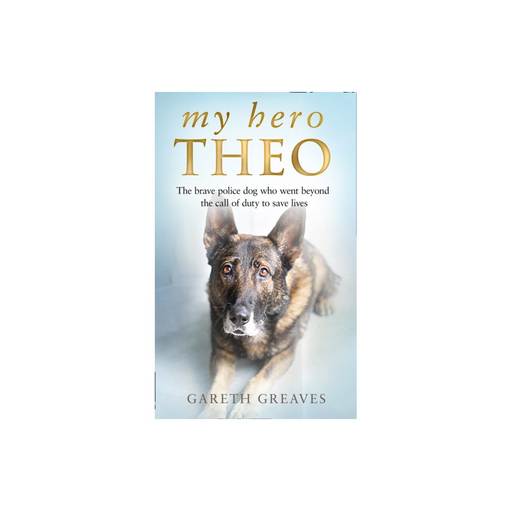 HarperCollins Publishers My Hero Theo (inbunden, eng)