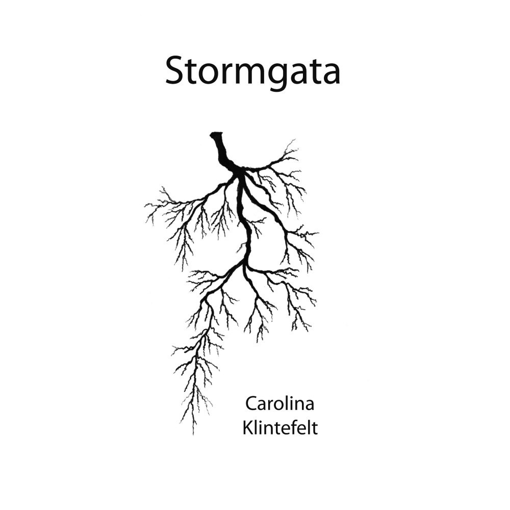 Carolina Klintefelt Stormgata (bok, storpocket)