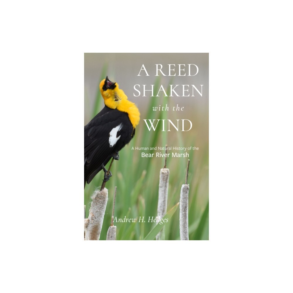 University of utah press,u.s. A Reed Shaken with the Wind (häftad, eng)