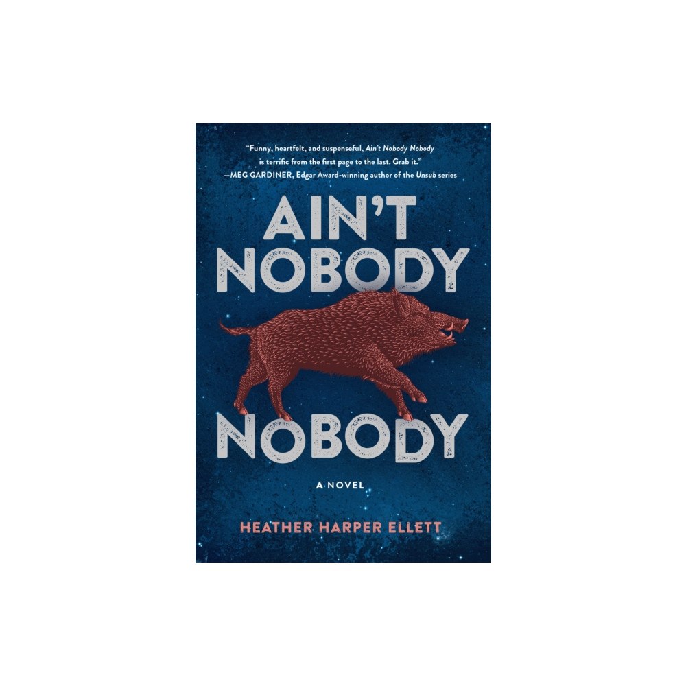 Watkins Media Limited Ain't Nobody, Nobody (häftad, eng)
