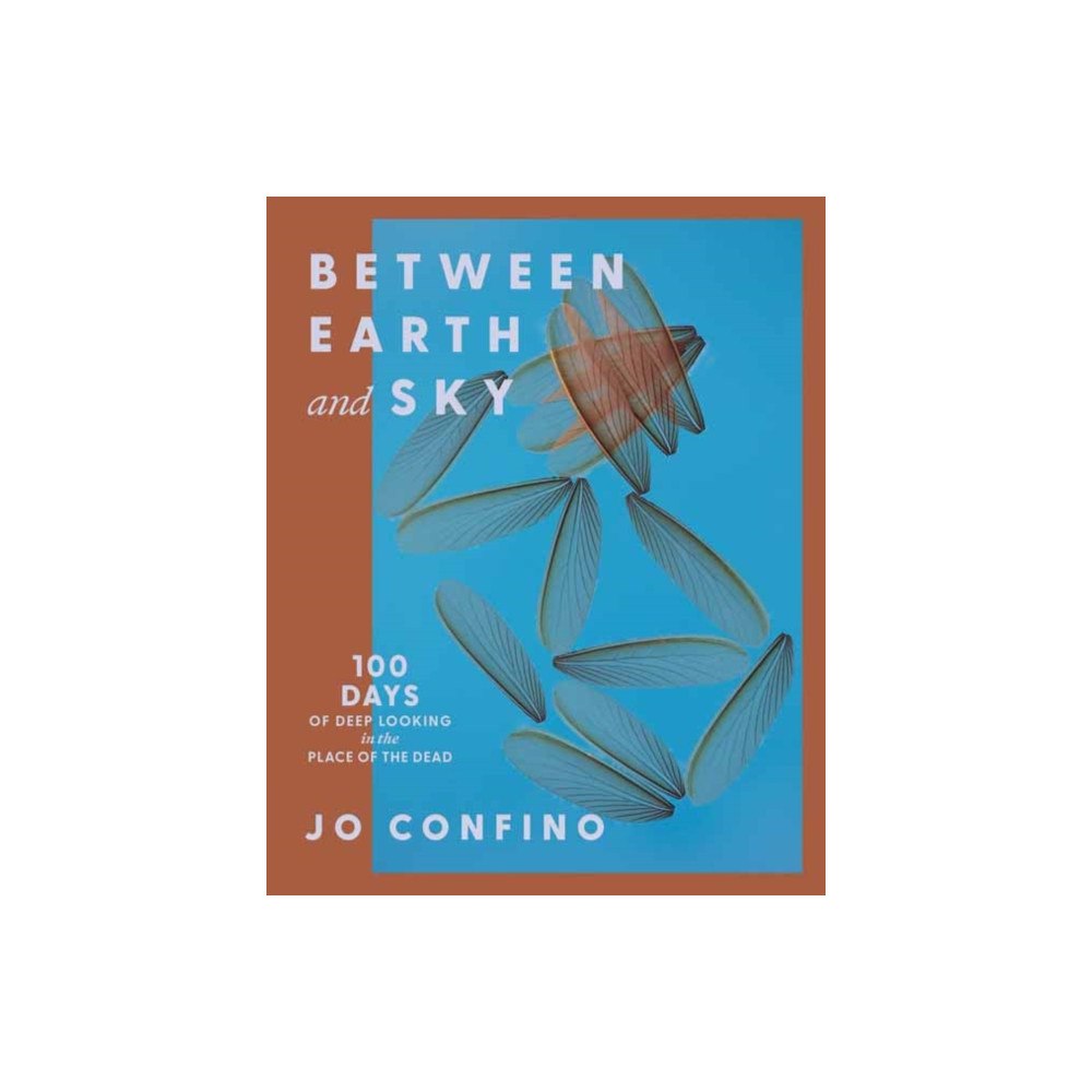 Parallax Press Between Earth and Sky (häftad, eng)