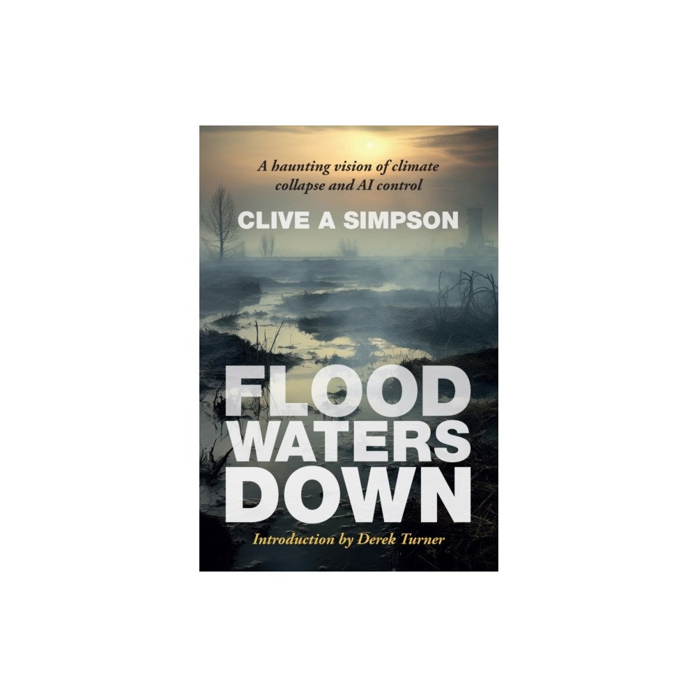 Cliftop Publishing Flood Waters Down (häftad, eng)