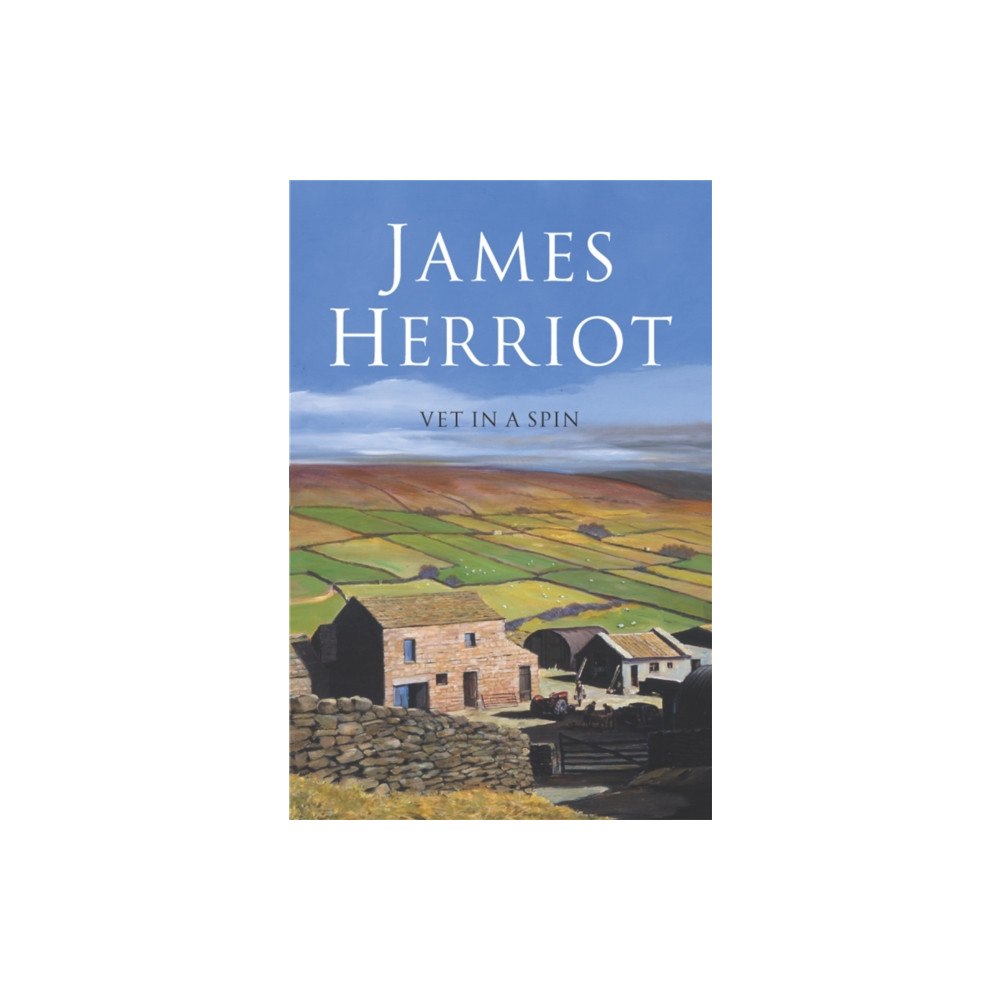 Pan Macmillan Vet in a Spin (häftad, eng)